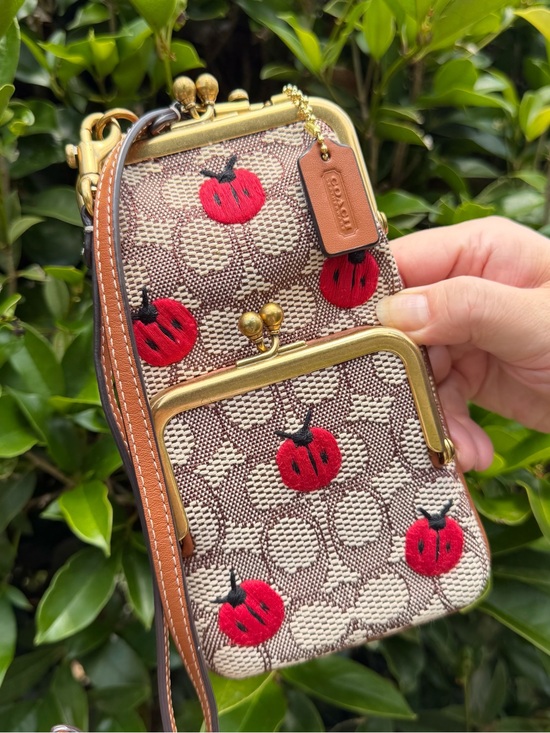 Coach Handbags - Coach Double Frame Crossbody 12 In Signature Textile Jacquard C6522